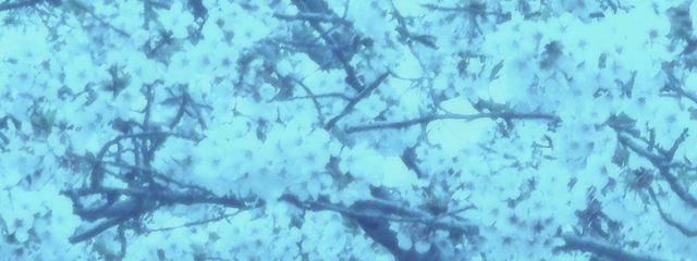 ꒰ঌ𝑹𝒊𝒌𝒐໒꒱🌟❤️さんの壁紙画像