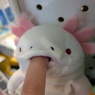 きなこが好きな子さんのアイコン画像