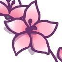 一花