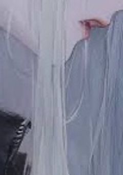 最恐で めんどくさがり屋で 特級呪術師な 私 、 護衛します 。