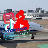 PanthicAviationさんのアイコン画像