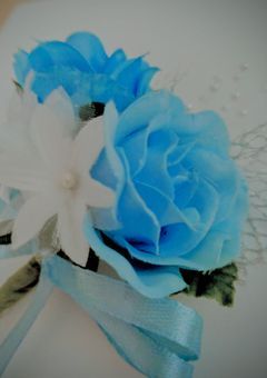 ｡⁠.ﾟ⁠+⁠&nbsp;⁠ 推 し 活 る ~ む ｡⁠.ﾟ⁠+⁠&nbsp;⁠