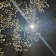 shihoさんのアイコン画像