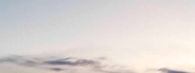 シュミ猫ちゃんさんの壁紙画像