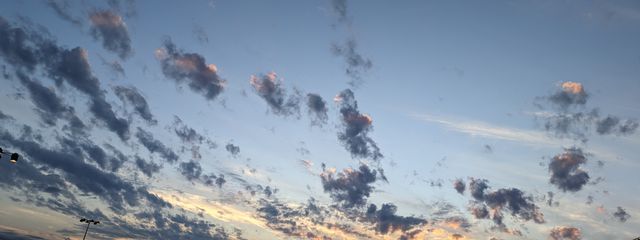 杏恋(あんこ)さんの壁紙画像