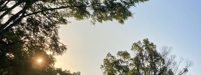 夏海❅*॰ॱさんの壁紙画像