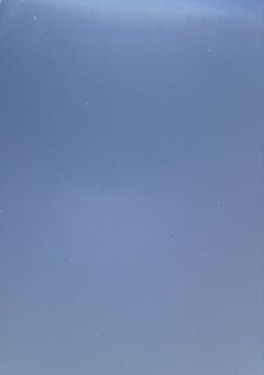 雑会