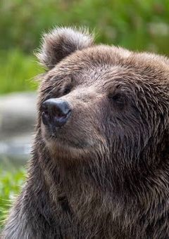 性癖を語るだけ(性癖を言ってくれたら小説にそれを書く可能性大あり)