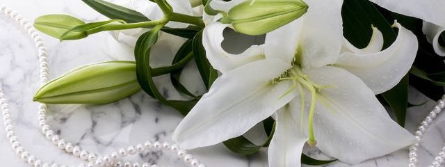 Lillygeさんの壁紙画像
