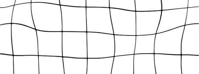 💚H.S💜🪸🪄︎︎さんの壁紙画像