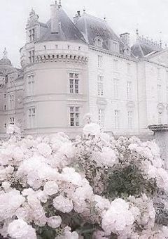 私 の 大 切 な 親 友 へ ︎︎.