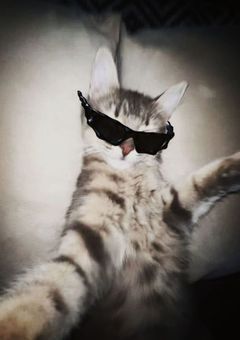 　♩" 一生一緒にいたいっしょ！　