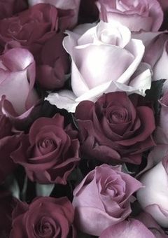 　哀の、終着点。