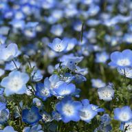 Yuru-ユル-さんのアイコン画像