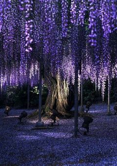 鬼滅の刃 短編集