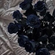 ‌　‌ ‌　羽音さんのアイコン画像