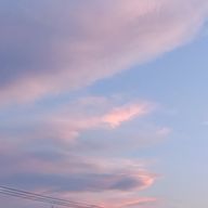 絵心すんさんのアイコン画像