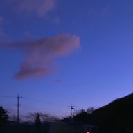 夜桜 瑠衣🌃さんのアイコン画像