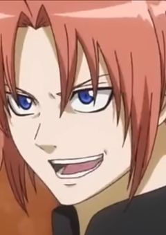 シスコンと夜兎族を混ぜ合わせると…？