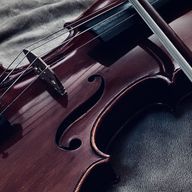 🎶さんのアイコン画像