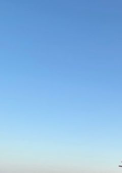 東京で出会った雪男と少女