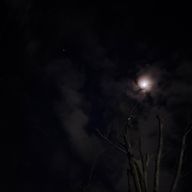MOON🌕さんのアイコン画像