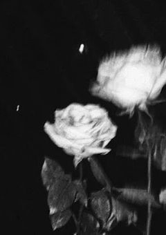 ゆら豆の小説コンテスト🎉‼️《応募可》