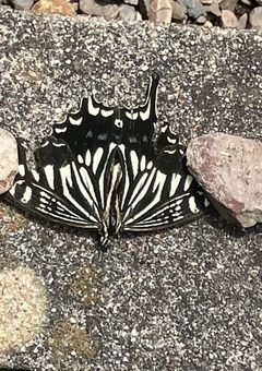 趣味で書いてるBL短編【終了】