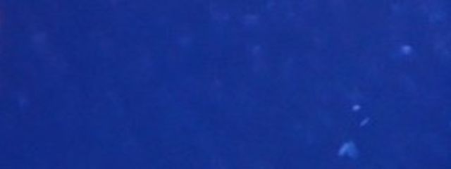 夜桜(やお)さんの壁紙画像