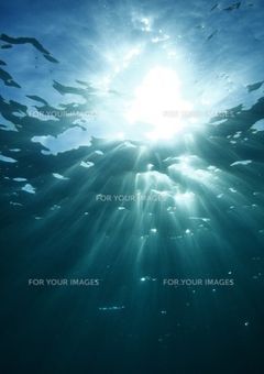 君の笑顔に救われた。