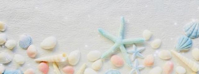 Seaさんの壁紙画像