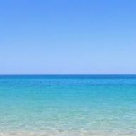 Seaさんのアイコン画像