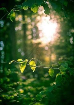 秘密 ノ 空間。