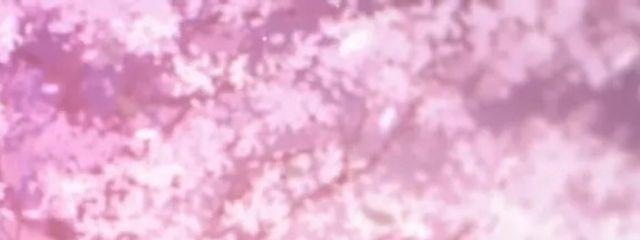 夜海さんの壁紙画像