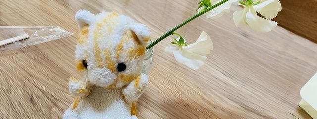 もみじねこさんの壁紙画像