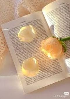 打 倒 じ ゃ ぱ に ー ず 。 