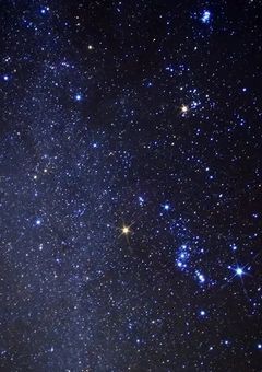 たまに腐の話をする用