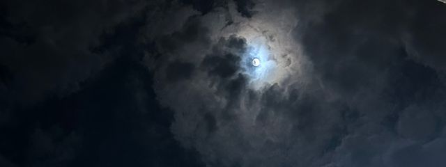 ゆうさんの壁紙画像