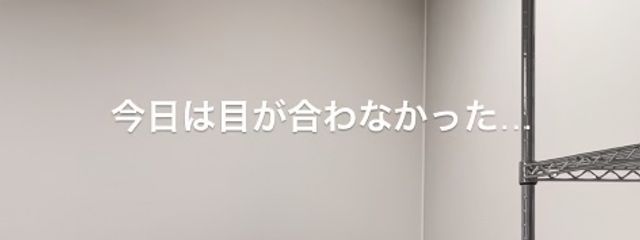 かしぱん さんの壁紙画像