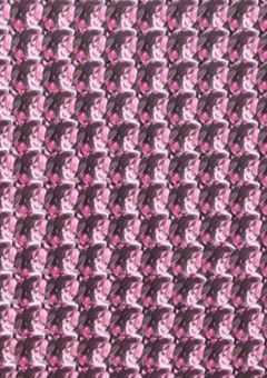 　🍥🐾･･𝐃𝐈𝐀𝐑𝐘√❤︎†
