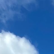 いわし雲さんのアイコン画像