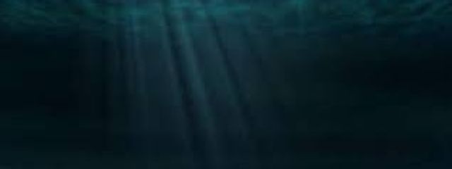 くら℞🪼さんの壁紙画像