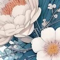 Grace👤さんのアイコン画像