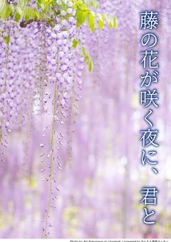 藤の花が咲く夜に、君と