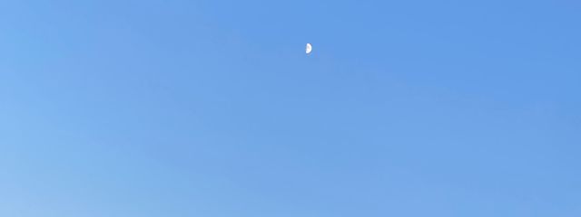 りんごさんの壁紙画像