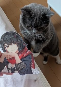 ｺﾒﾁｬﾚなう。