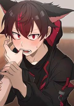 YouTuberにあなたは出会った