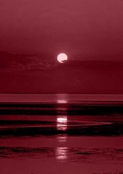 【】2434 夢 短編集【】