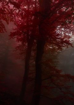 【】mm村 夢 短編集【】