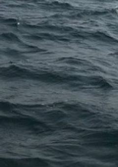 消えた輝きの中にあったものは何？